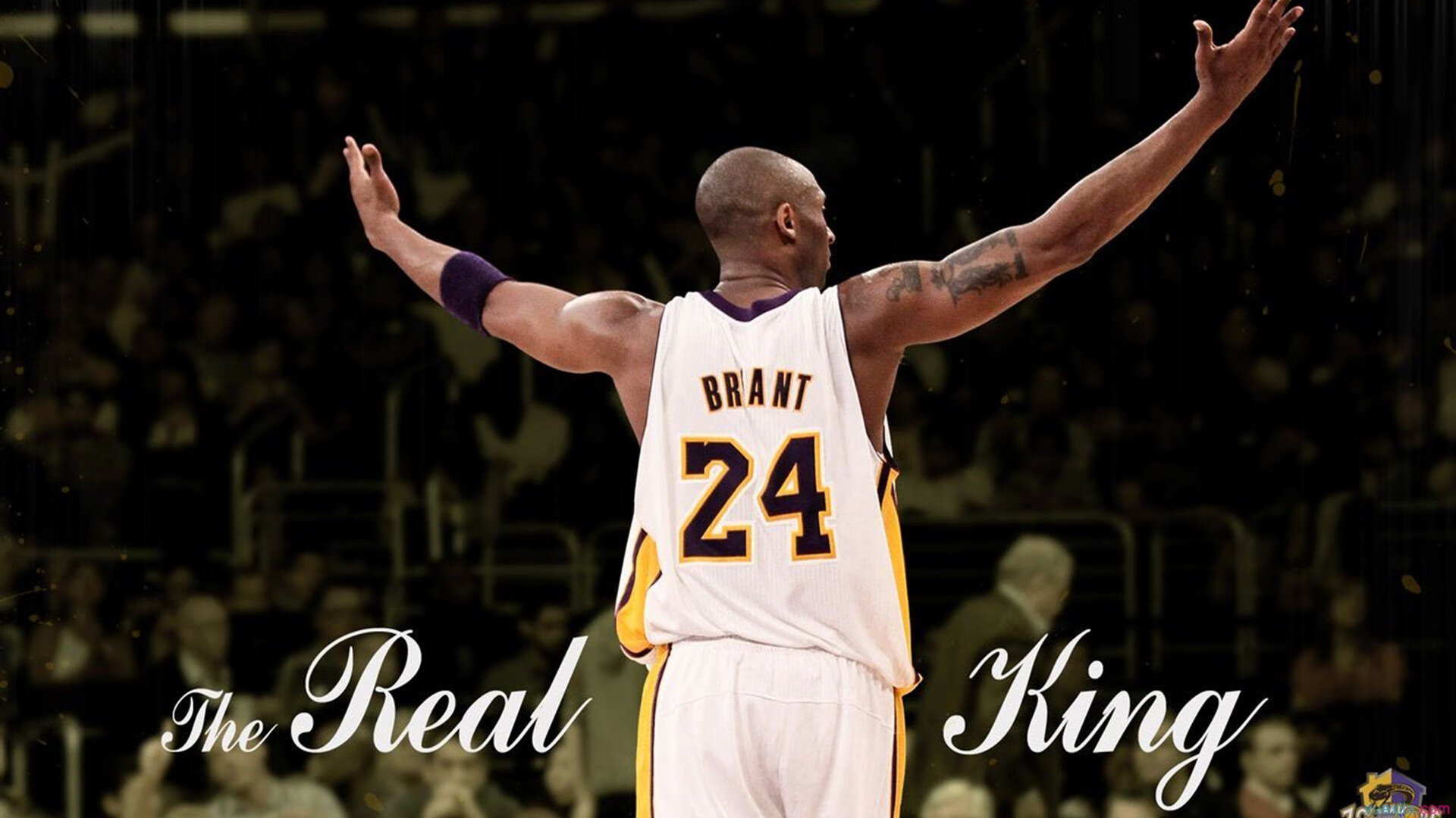 美洲杯最燃时刻：逆境中奋勇拼搏，美洲杯精彩集锦